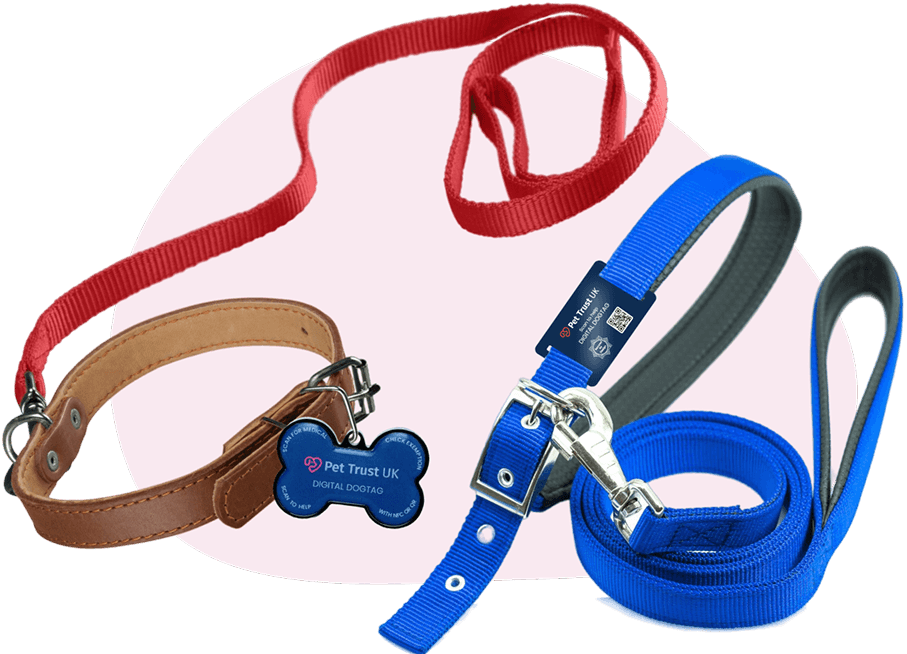 Various pet collars and leashes with a digital tag
