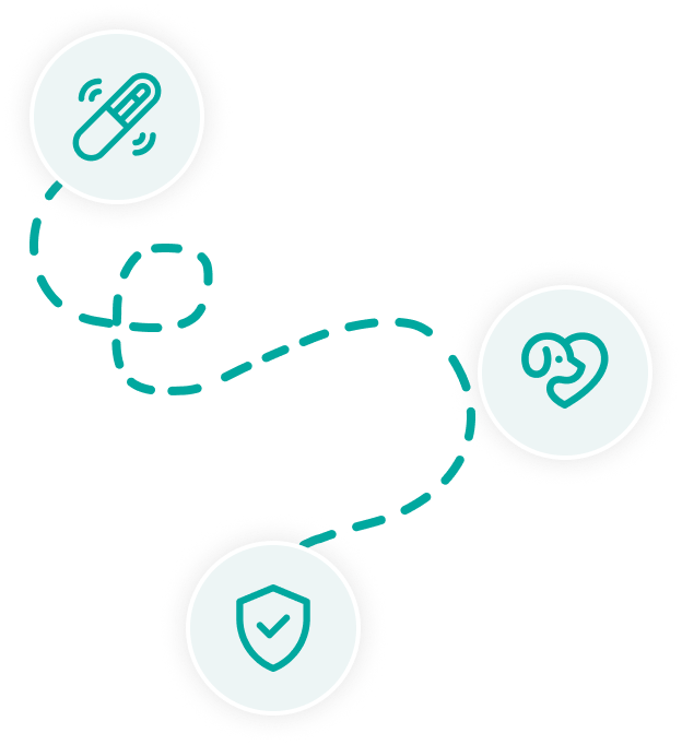 Microchip Icon